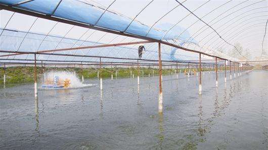 可持續環保設備空氣能熱泵：在工廠化養殖的運用和效果